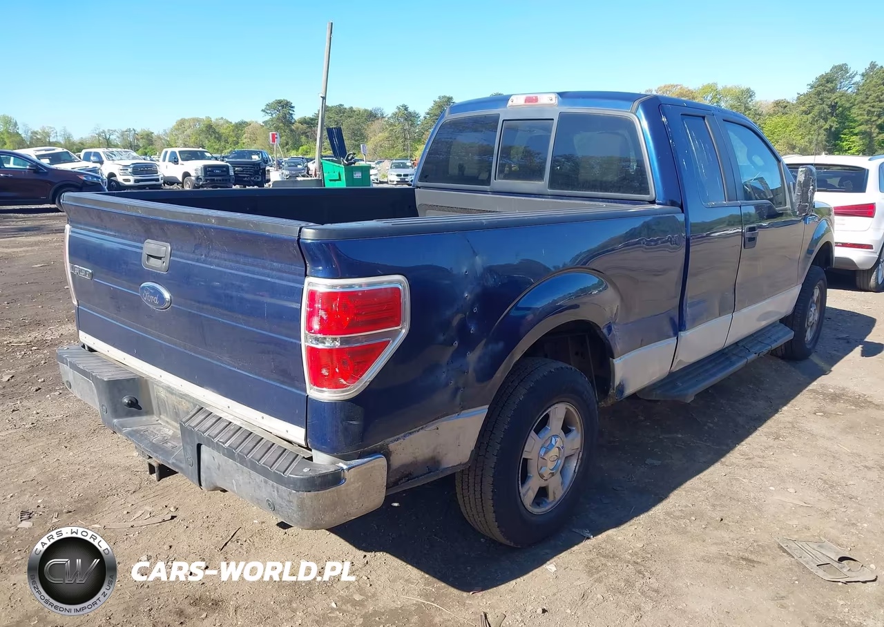 2010 Ford F-150 Xlt VIN:1FTEX1C80AFD69691 - 4