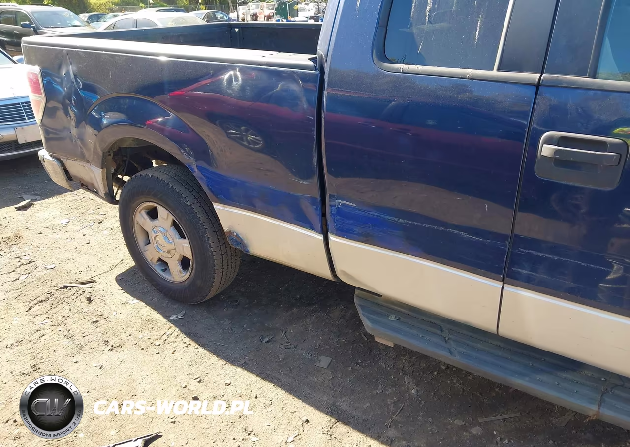 2010 Ford F-150 Xlt VIN:1FTEX1C80AFD69691 - 6