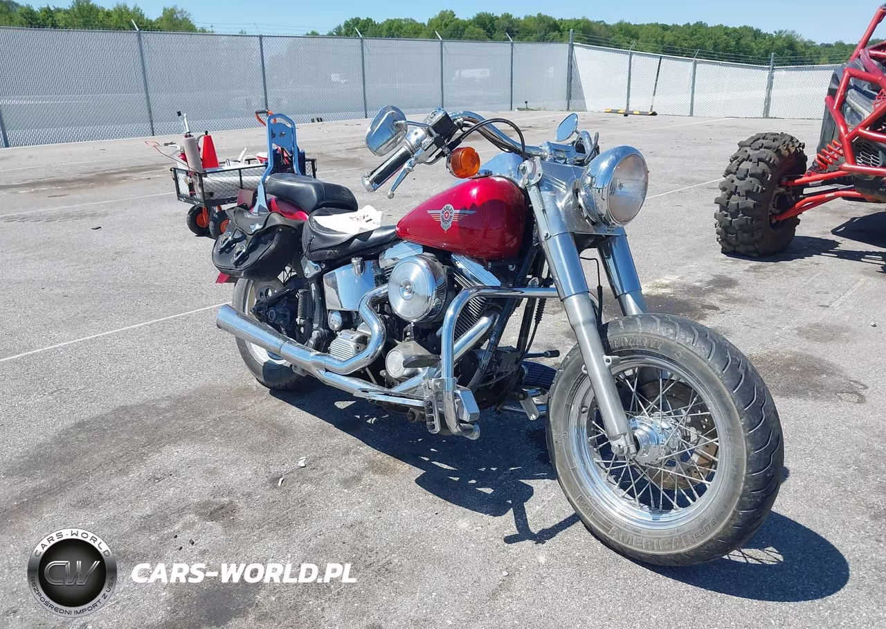 1999 Harley-Davidson Flstf