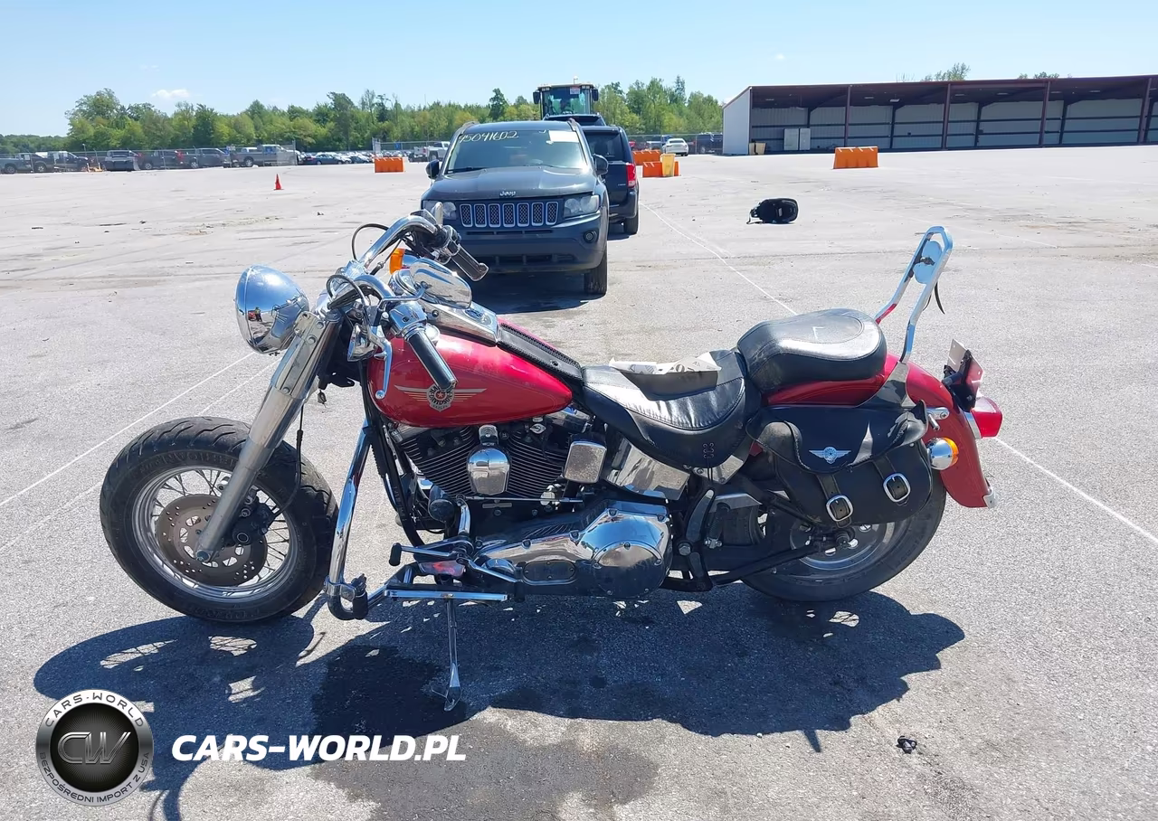 1999 Harley-Davidson Flstf VIN:1HD1BML16XY049790 - 12