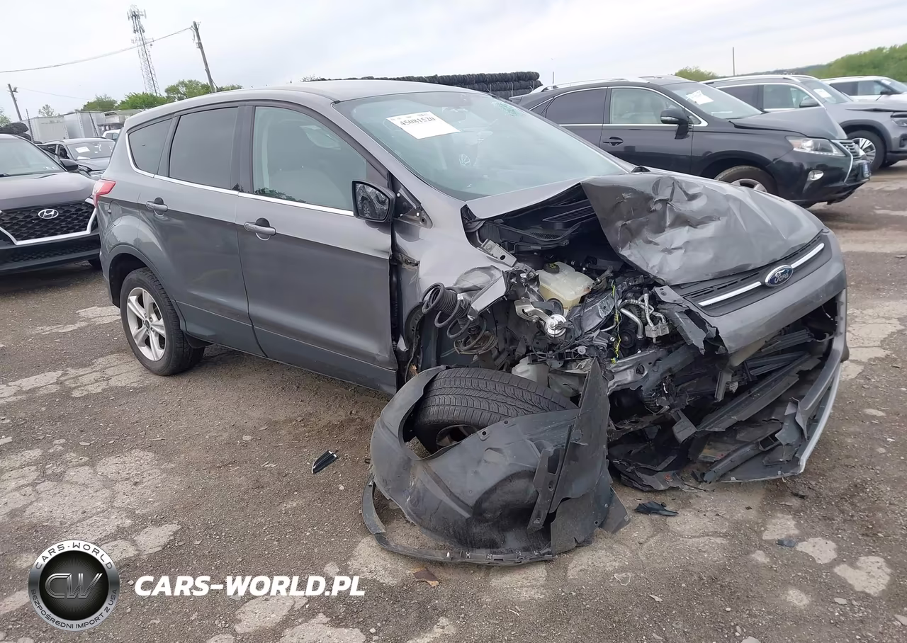 2014 Ford Escape Se
