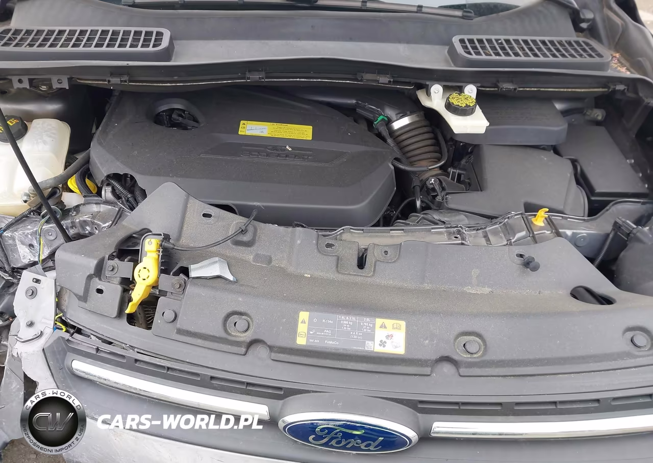 2014 Ford Escape Se VIN:1FMCU0GX9EUA42585 - 10
