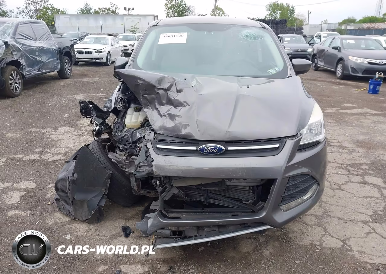 2014 Ford Escape Se VIN:1FMCU0GX9EUA42585 - 11