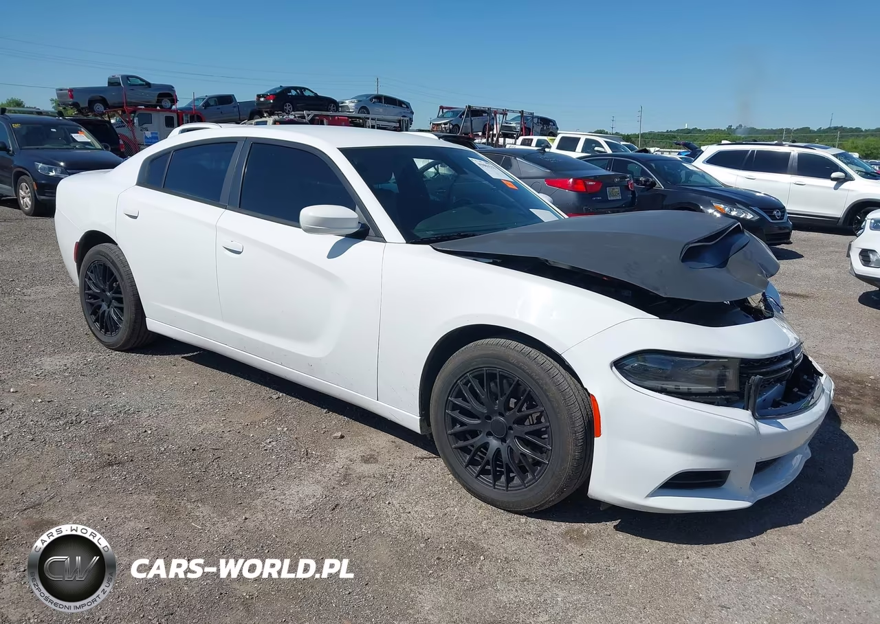 2019 Dodge Charger Police Awd
