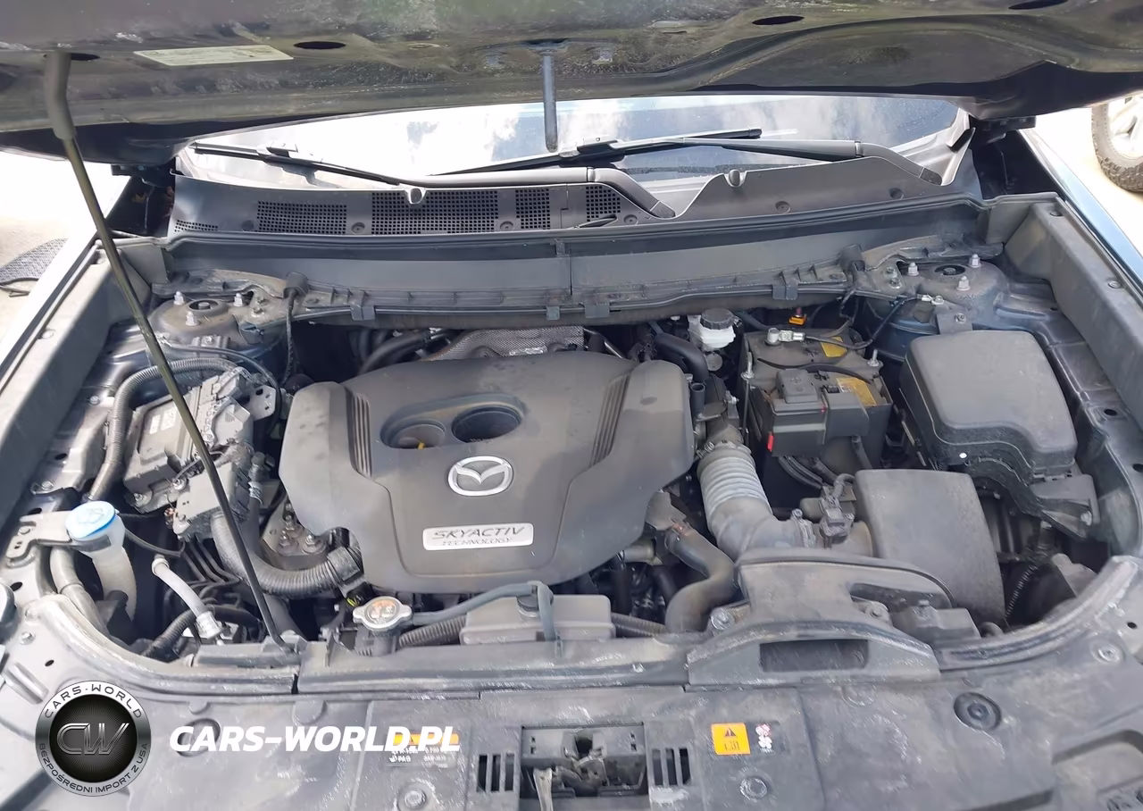 2019 Mazda Cx-9 Grand Touring VIN:JM3TCBDY3K0310900 - 10