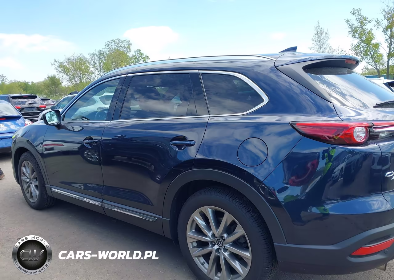 2019 Mazda Cx-9 Grand Touring VIN:JM3TCBDY3K0310900 - 14