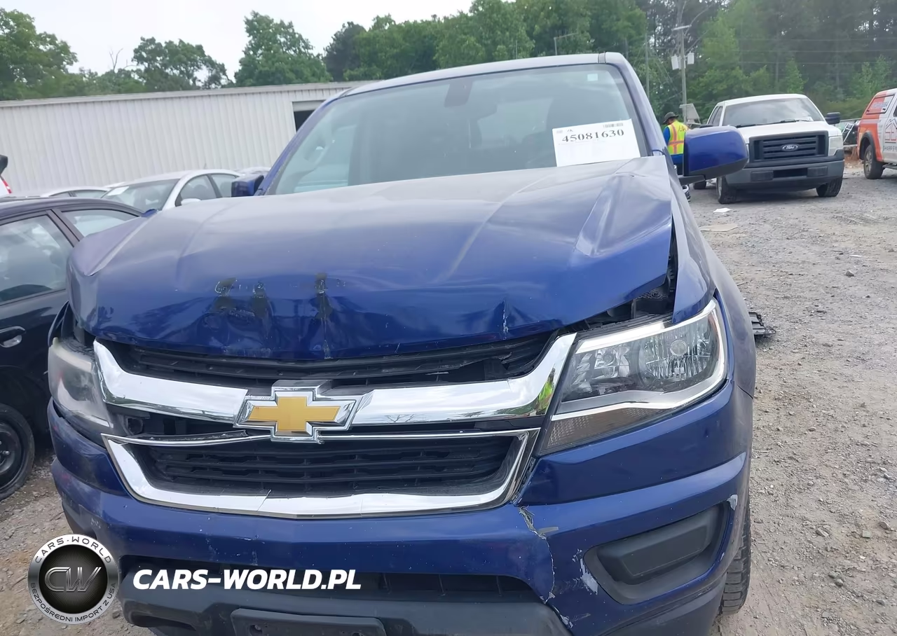 2016 Chevrolet Colorado Lt VIN:1GCGSCEA2G1379664 - 12