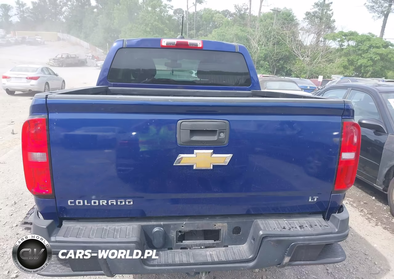 2016 Chevrolet Colorado Lt VIN:1GCGSCEA2G1379664 - 16
