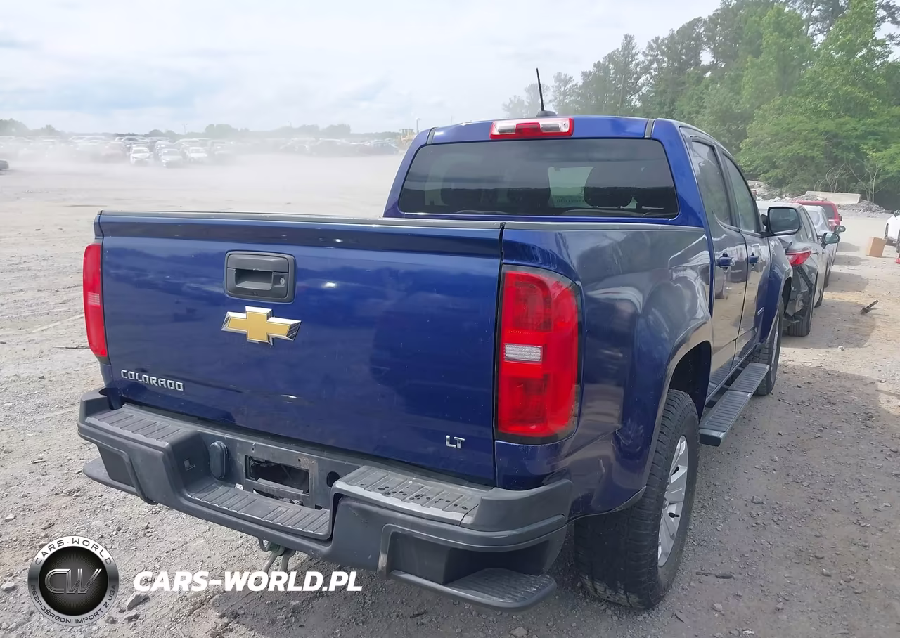 2016 Chevrolet Colorado Lt VIN:1GCGSCEA2G1379664 - 4