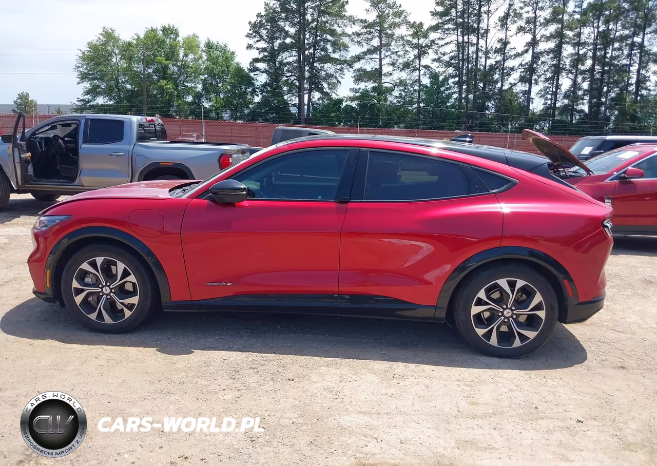 2021 Ford Mustang Mach-E Premium VIN:3FMTK3R74MMA45028 - 14