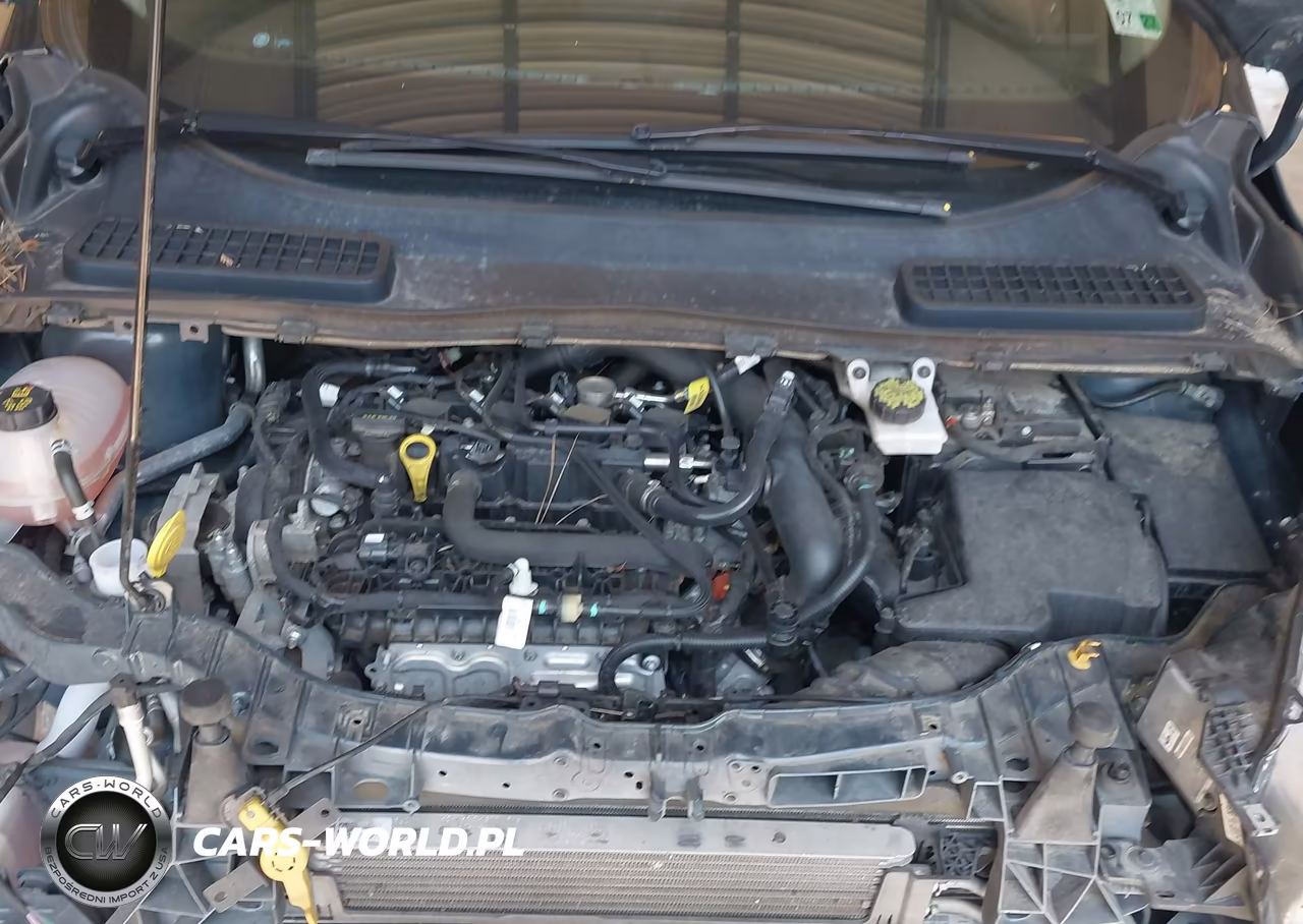 2019 Ford Escape Sel VIN:1FMCU9HD9KUC00993 - 10