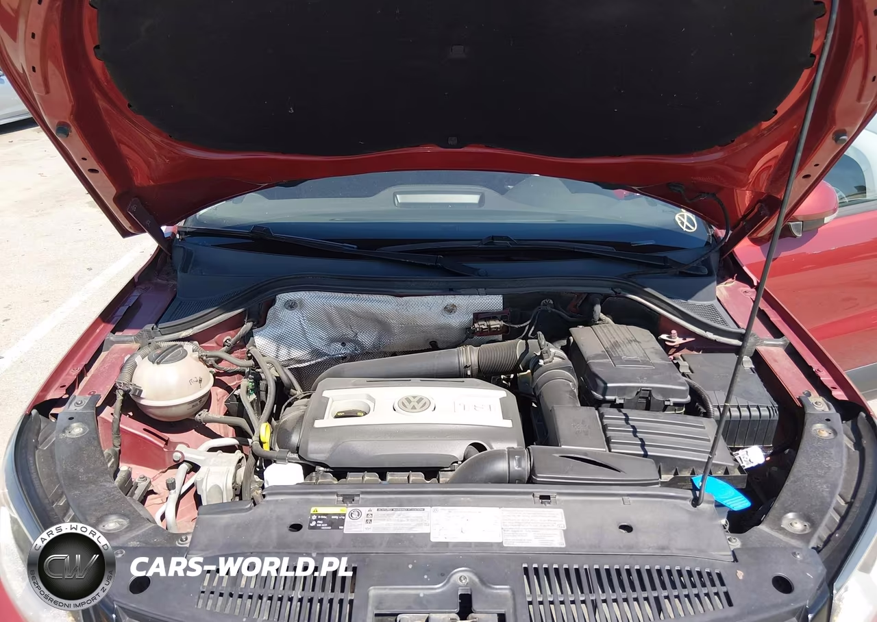 2015 Volkswagen Tiguan S VIN:WVGBV7AX5FW020275 - 10