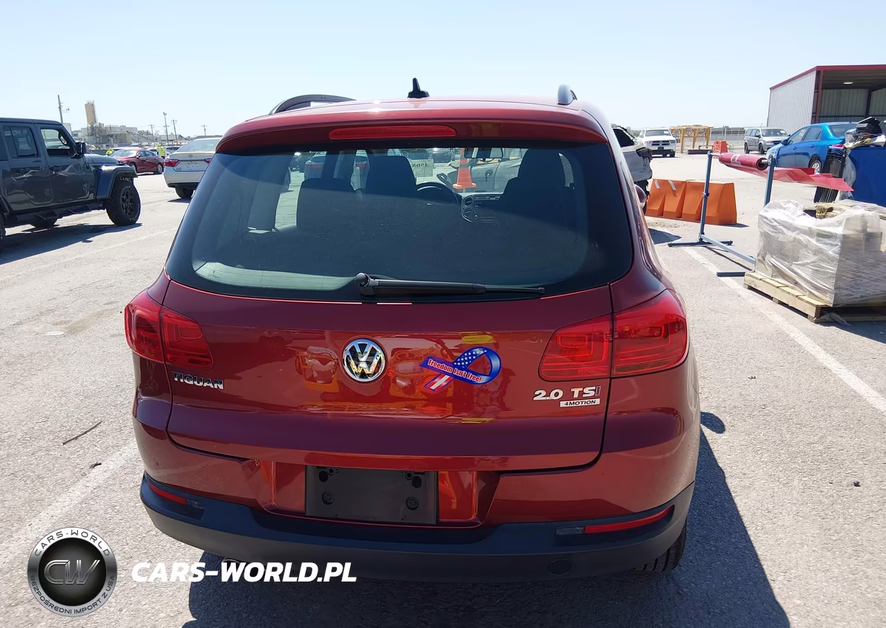 2015 Volkswagen Tiguan S VIN:WVGBV7AX5FW020275 - 19