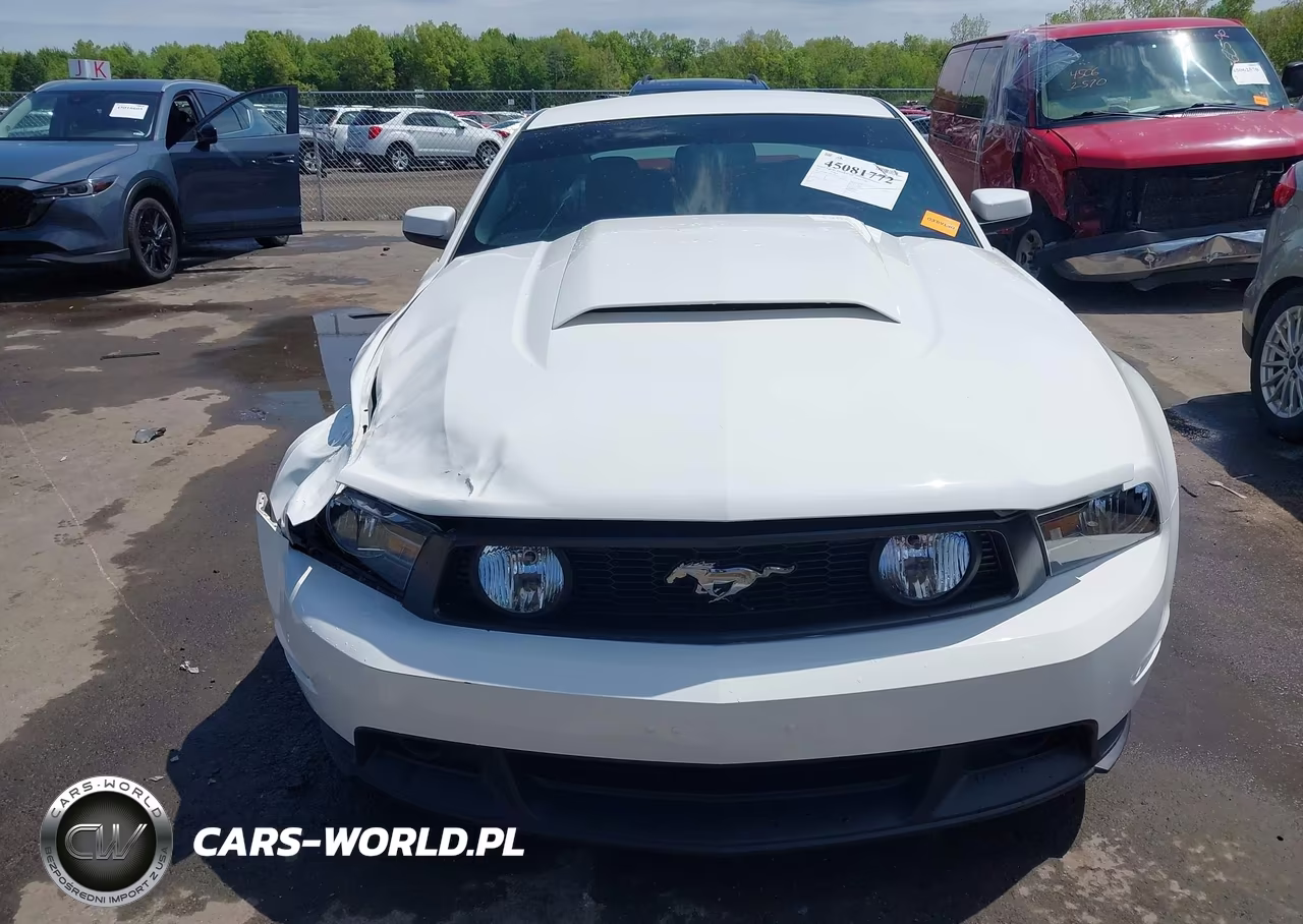 2011 Ford Mustang Gt Premium VIN:1ZVBP8CF7B5164898 - 12