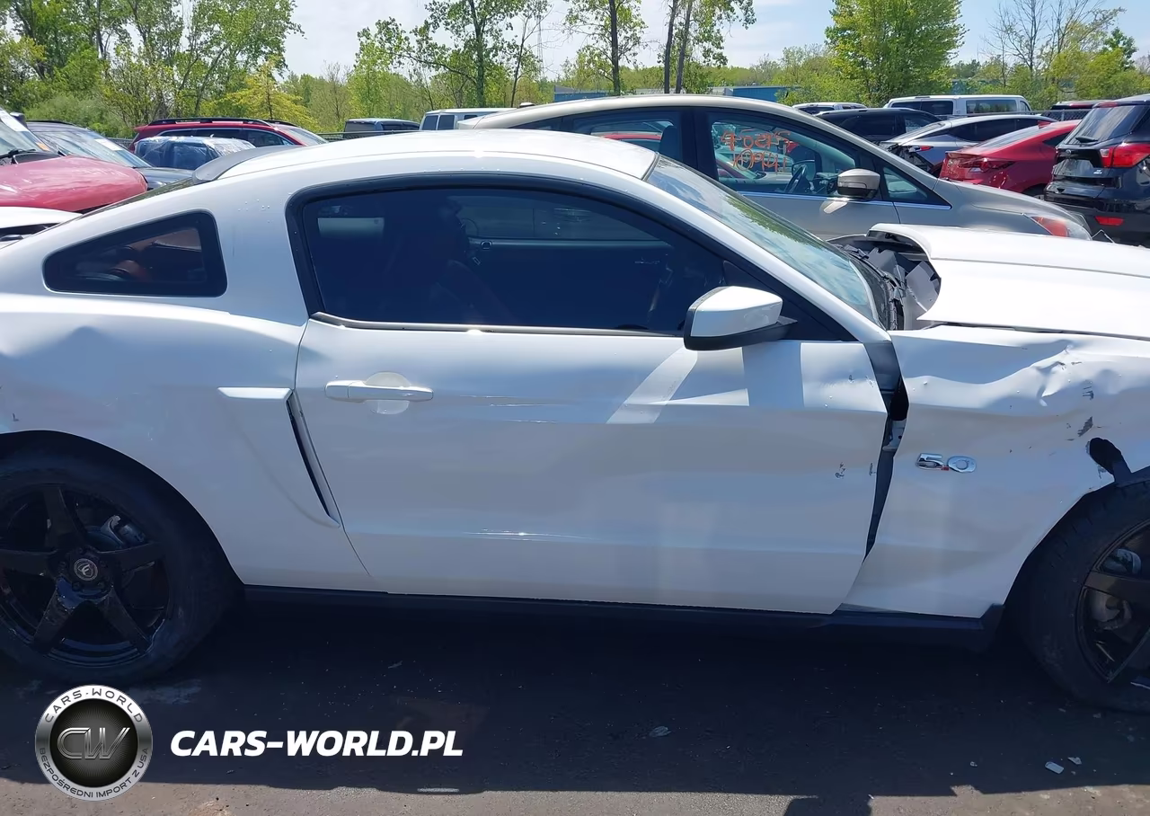 2011 Ford Mustang Gt Premium VIN:1ZVBP8CF7B5164898 - 13