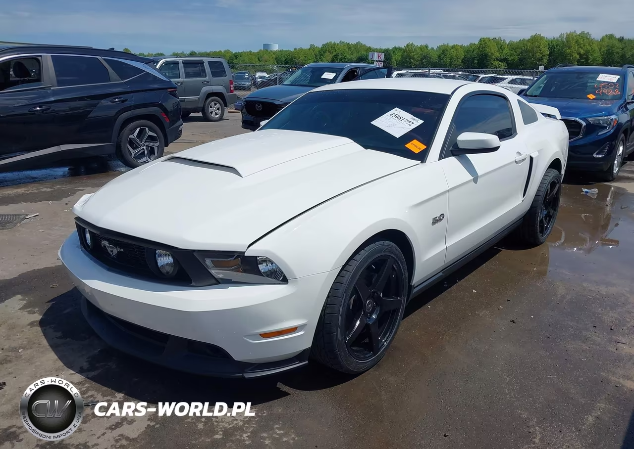 2011 Ford Mustang Gt Premium VIN:1ZVBP8CF7B5164898 - 2