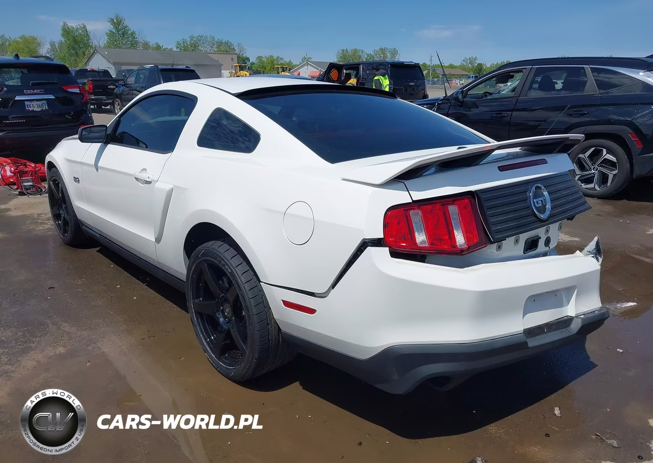 2011 Ford Mustang Gt Premium VIN:1ZVBP8CF7B5164898 - 3