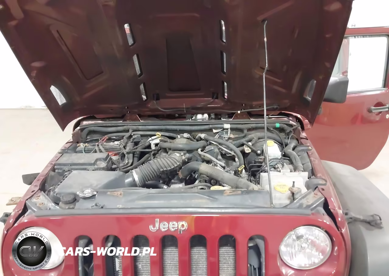 2009 Jeep Wrangler Unlimited X VIN:1J4GA39109L784596 - 10