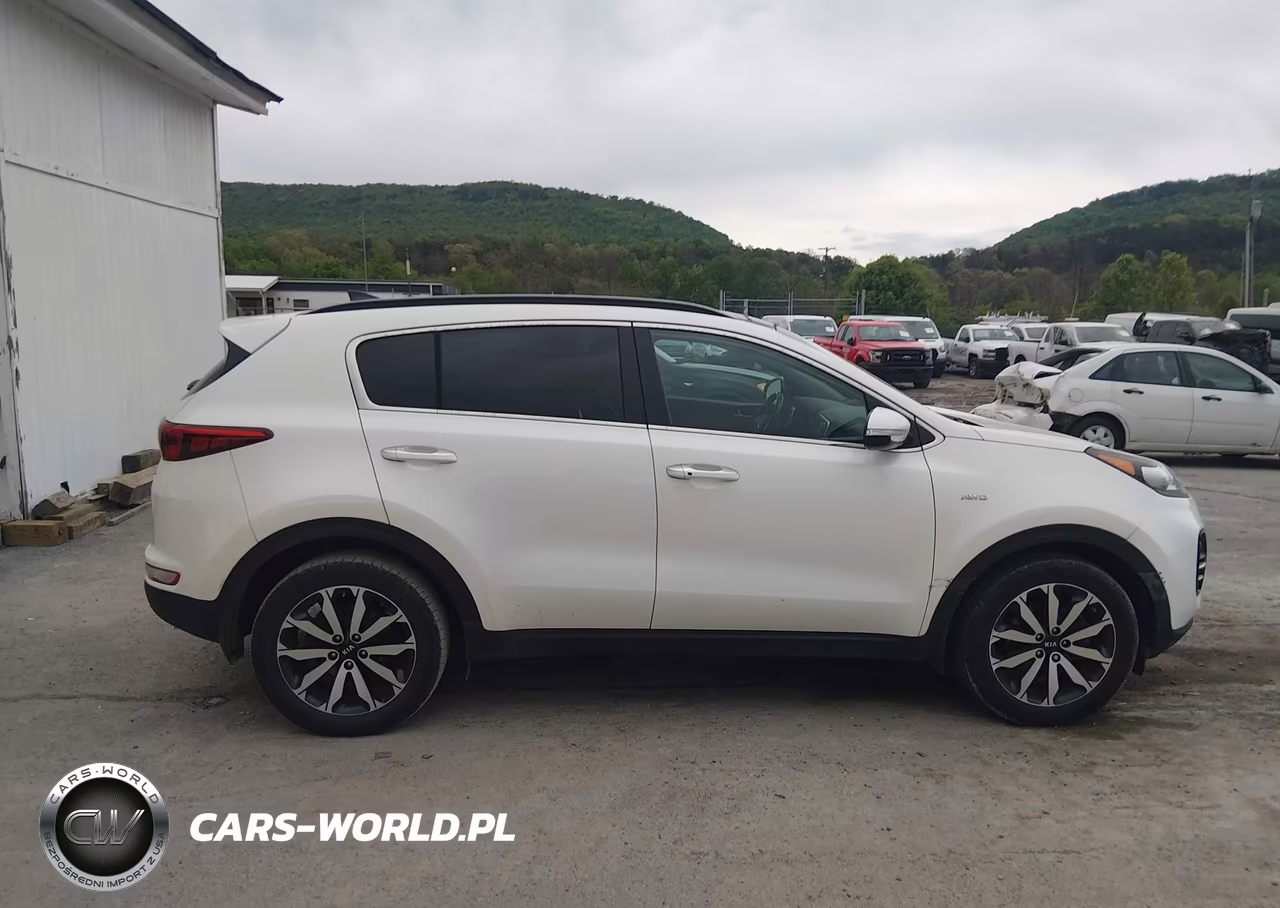 2019 Kia Sportage Ex VIN:KNDPNCAC5K7557331 - 14