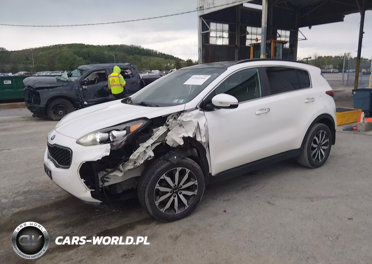 2019 Kia Sportage Ex VIN:KNDPNCAC5K7557331 - 2