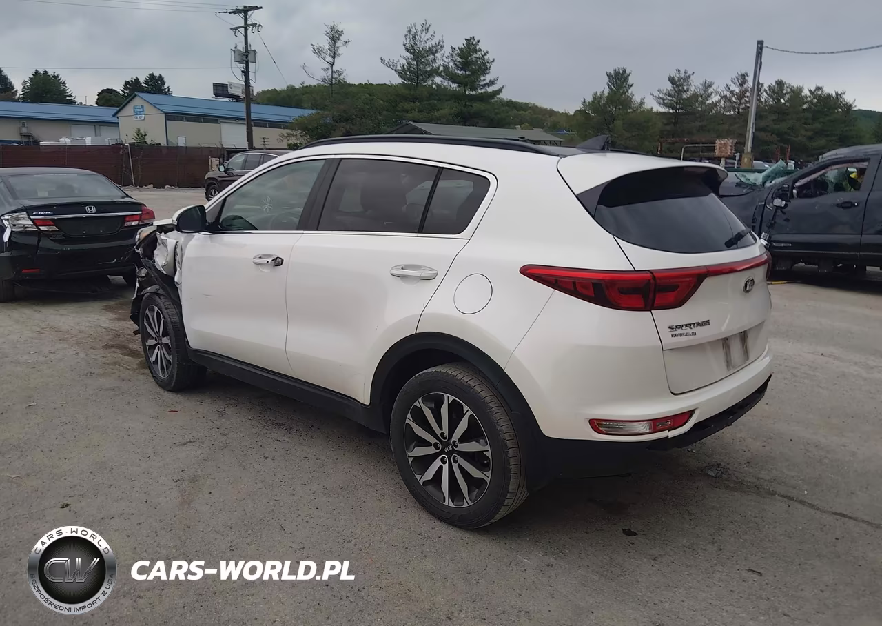 2019 Kia Sportage Ex VIN:KNDPNCAC5K7557331 - 3