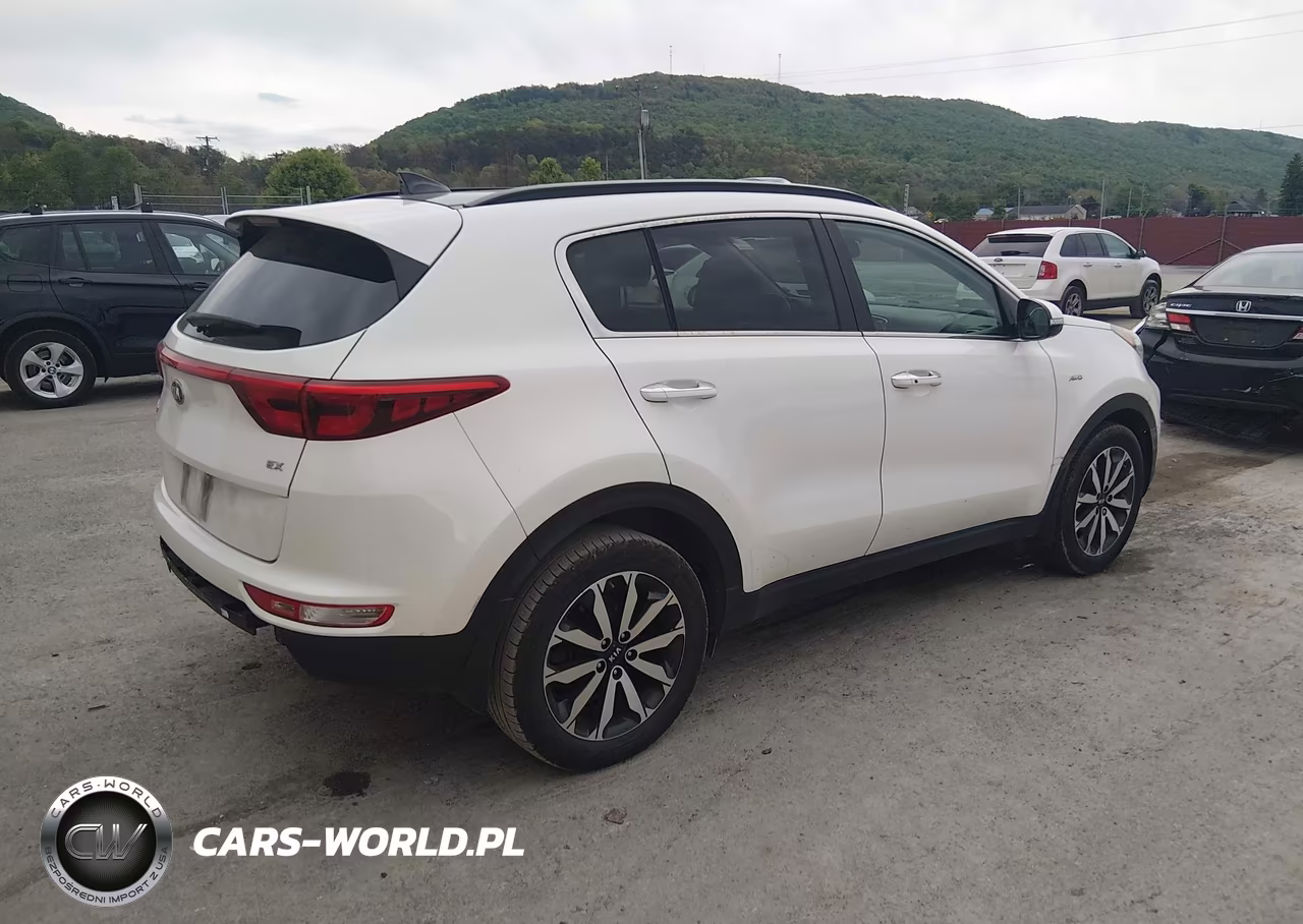 2019 Kia Sportage Ex VIN:KNDPNCAC5K7557331 - 4