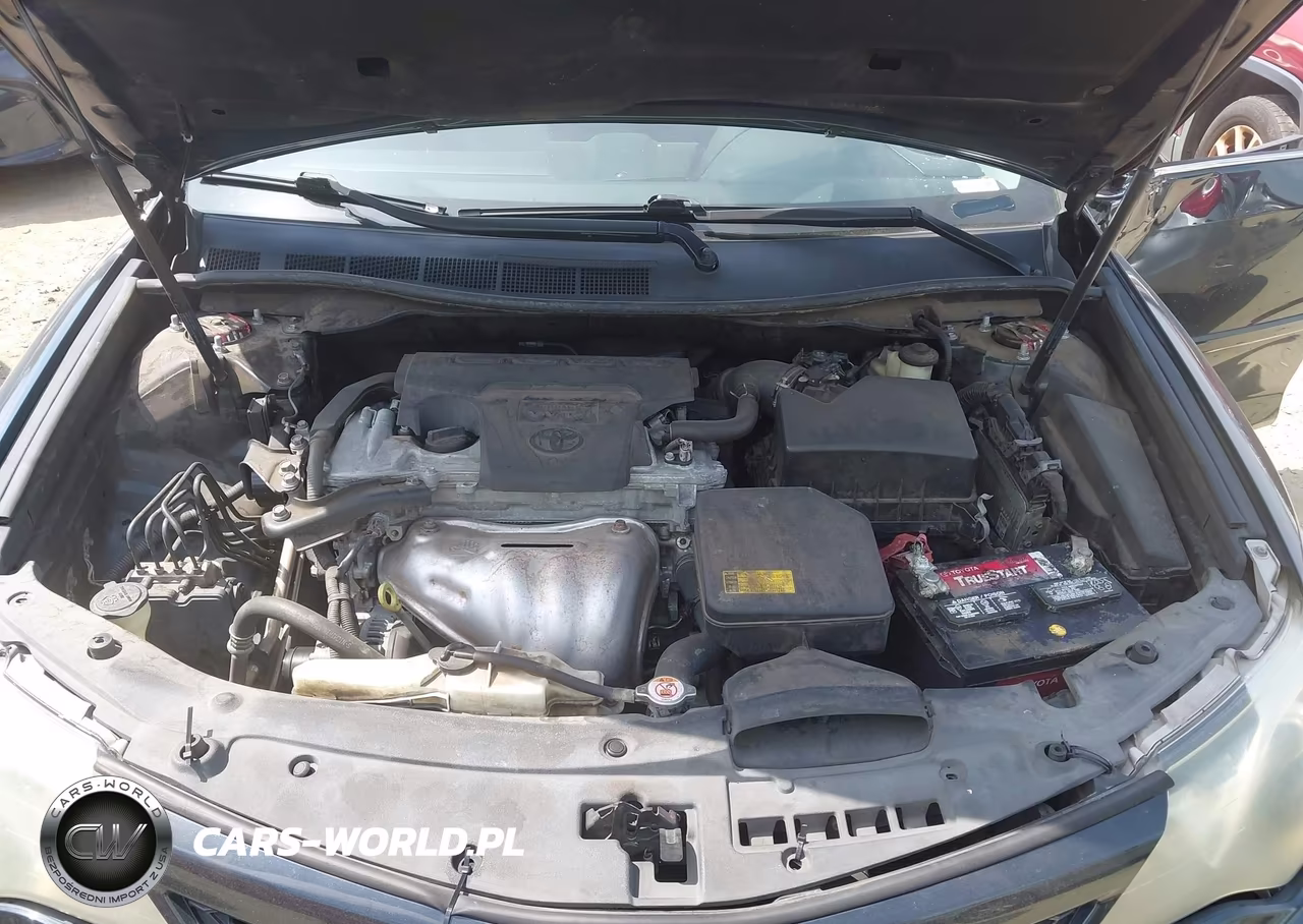 2014 Toyota Camry Se VIN:4T1BF1FK4EU821510 - 10