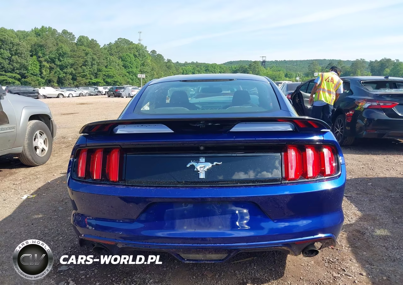 2015 Ford Mustang V6 VIN:1FA6P8AM9F5391737 - 17