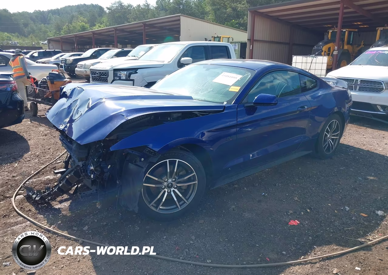 2015 Ford Mustang V6 VIN:1FA6P8AM9F5391737 - 2