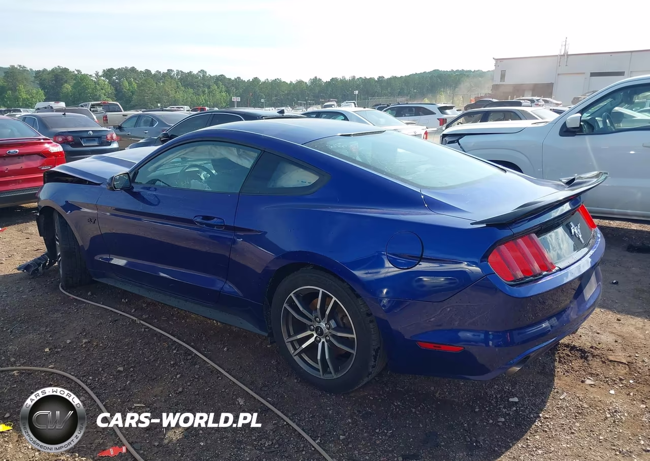 2015 Ford Mustang V6 VIN:1FA6P8AM9F5391737 - 3