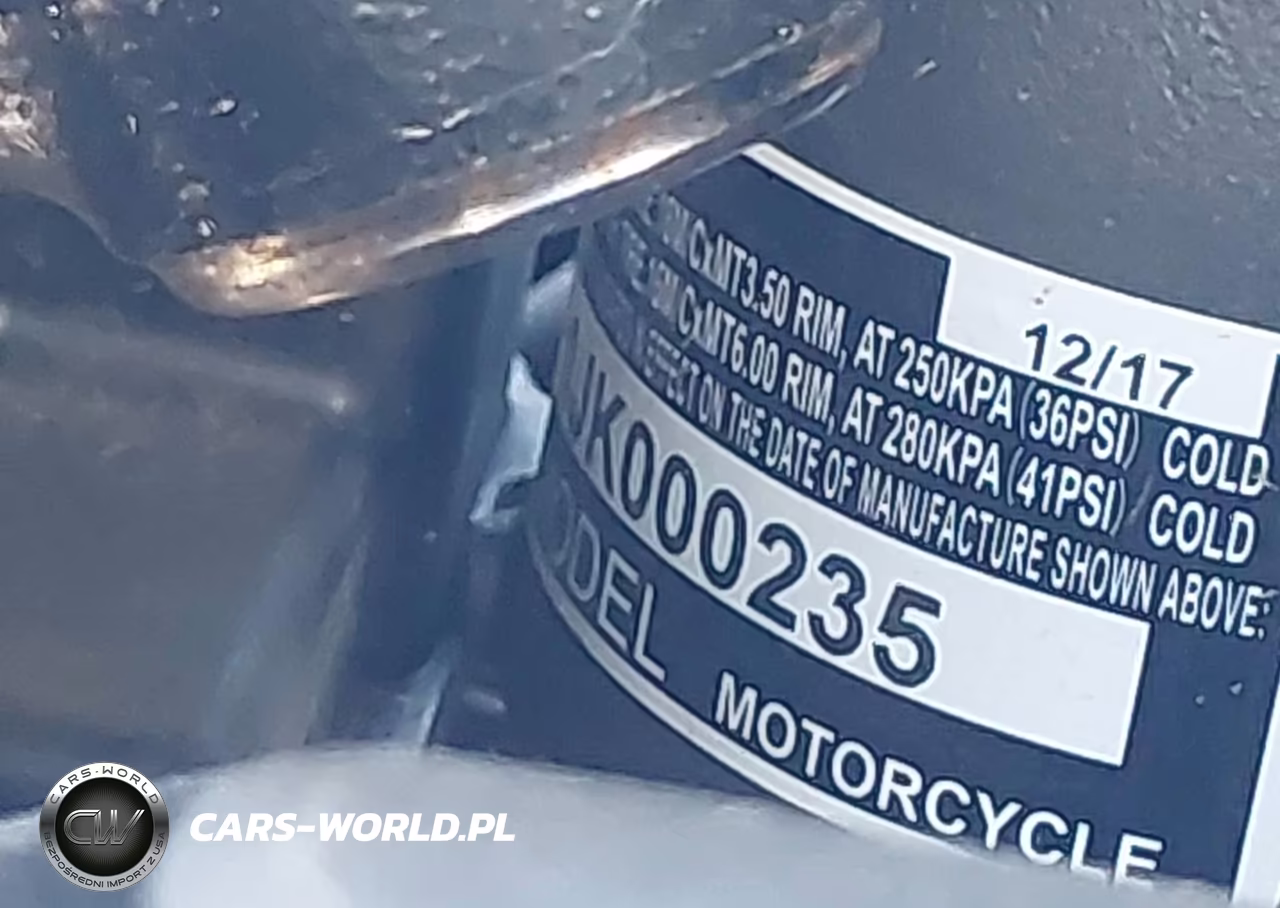 2018 Honda Gl1800 B VIN:JH2SC7911JK000235 - 10