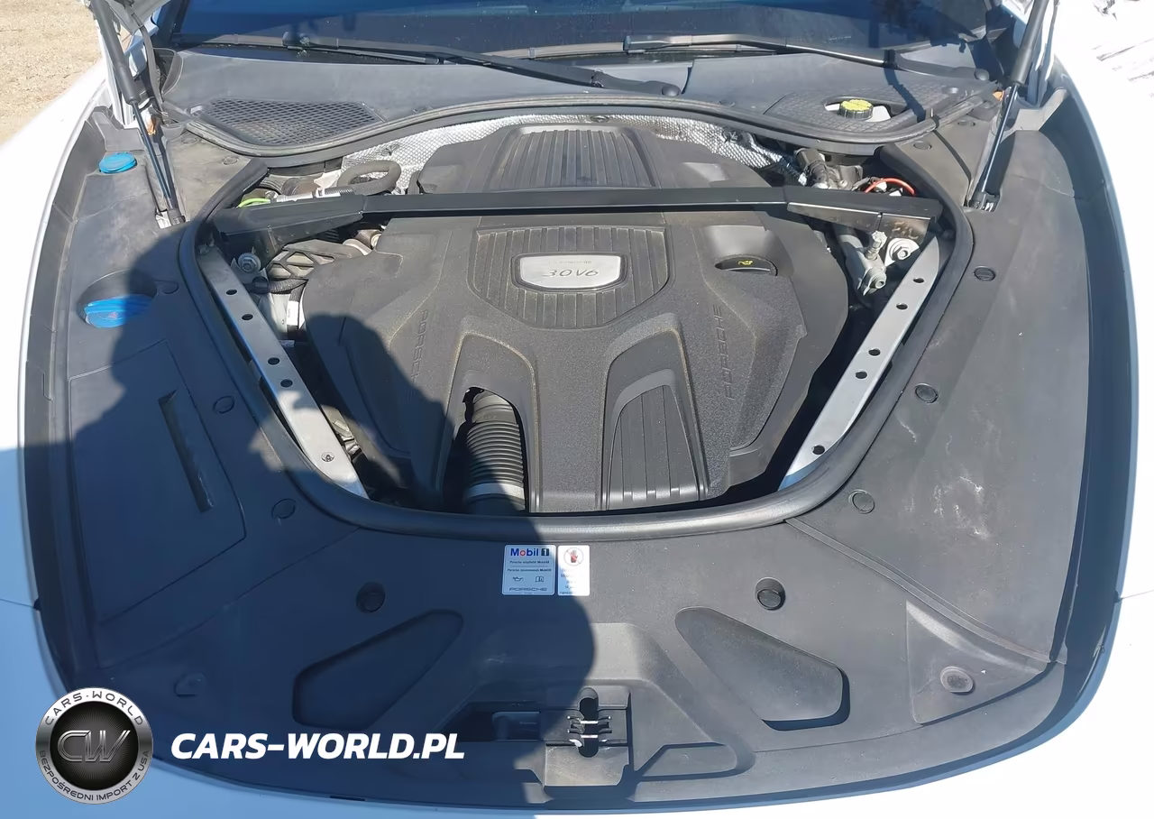 2020 Porsche Panamera 4 VIN:WP0AA2A75LL102826 - 10