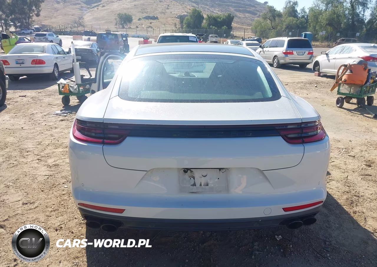 2020 Porsche Panamera 4 VIN:WP0AA2A75LL102826 - 17
