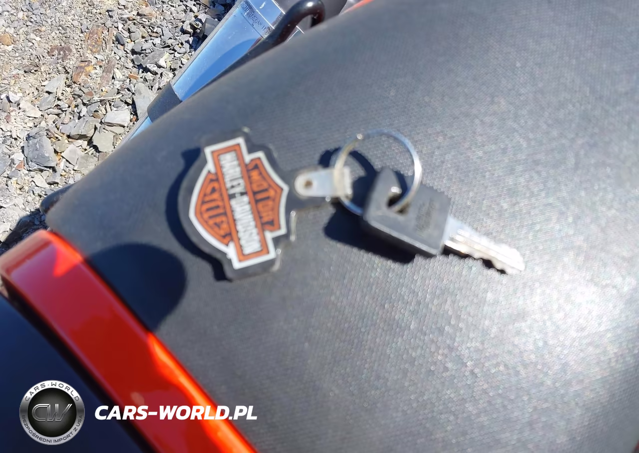 2009 Harley-Davidson Xr1200 VIN:1HD1LA61X9K442852 - 11