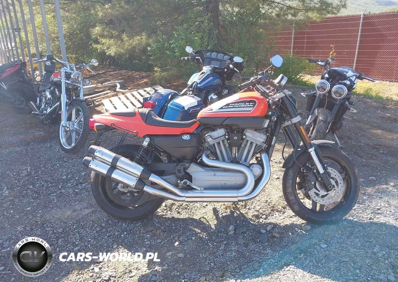 2009 Harley-Davidson Xr1200 VIN:1HD1LA61X9K442852 - 12