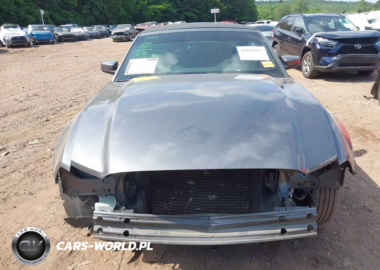 2013 Ford Mustang V6 Premium VIN:1ZVBP8EM5D5239578 - 12