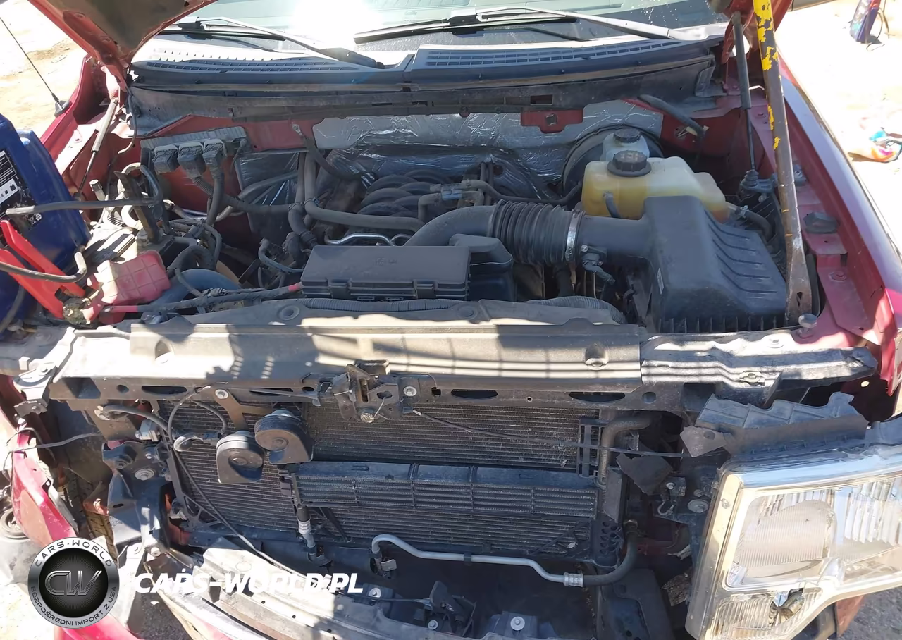 2013 Ford F-150 Xlt VIN:1FTFX1CF0DFD27111 - 10