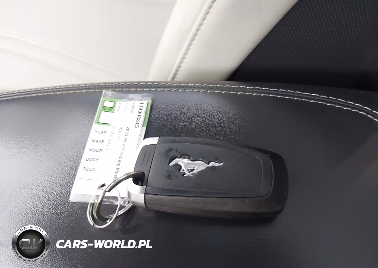 2021 Ford Mustang Mach-E Premium VIN:3FMTK3SUXMMA27553 - 11