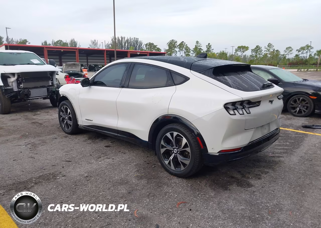 2021 Ford Mustang Mach-E Premium VIN:3FMTK3SUXMMA27553 - 3