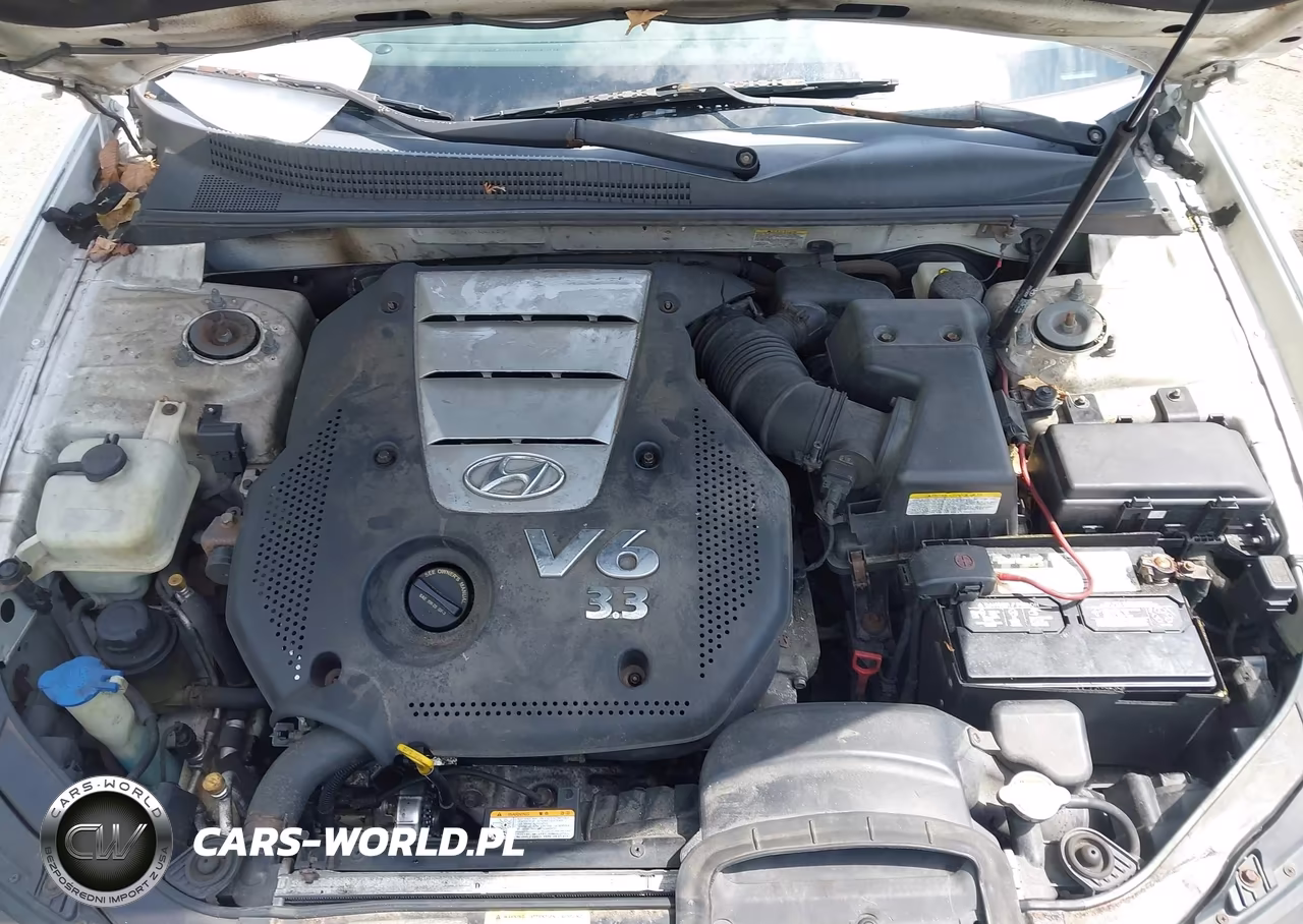 2006 Hyundai Sonata Gls V6-Lx V6 VIN:5NPEU46F86H110402 - 10