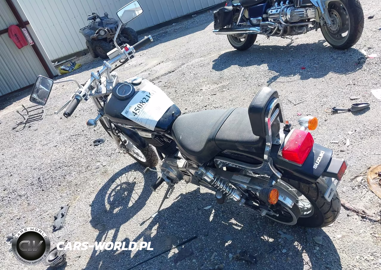 2006 Suzuki Ls650 P VIN:JS1NP41A162102723 - 3
