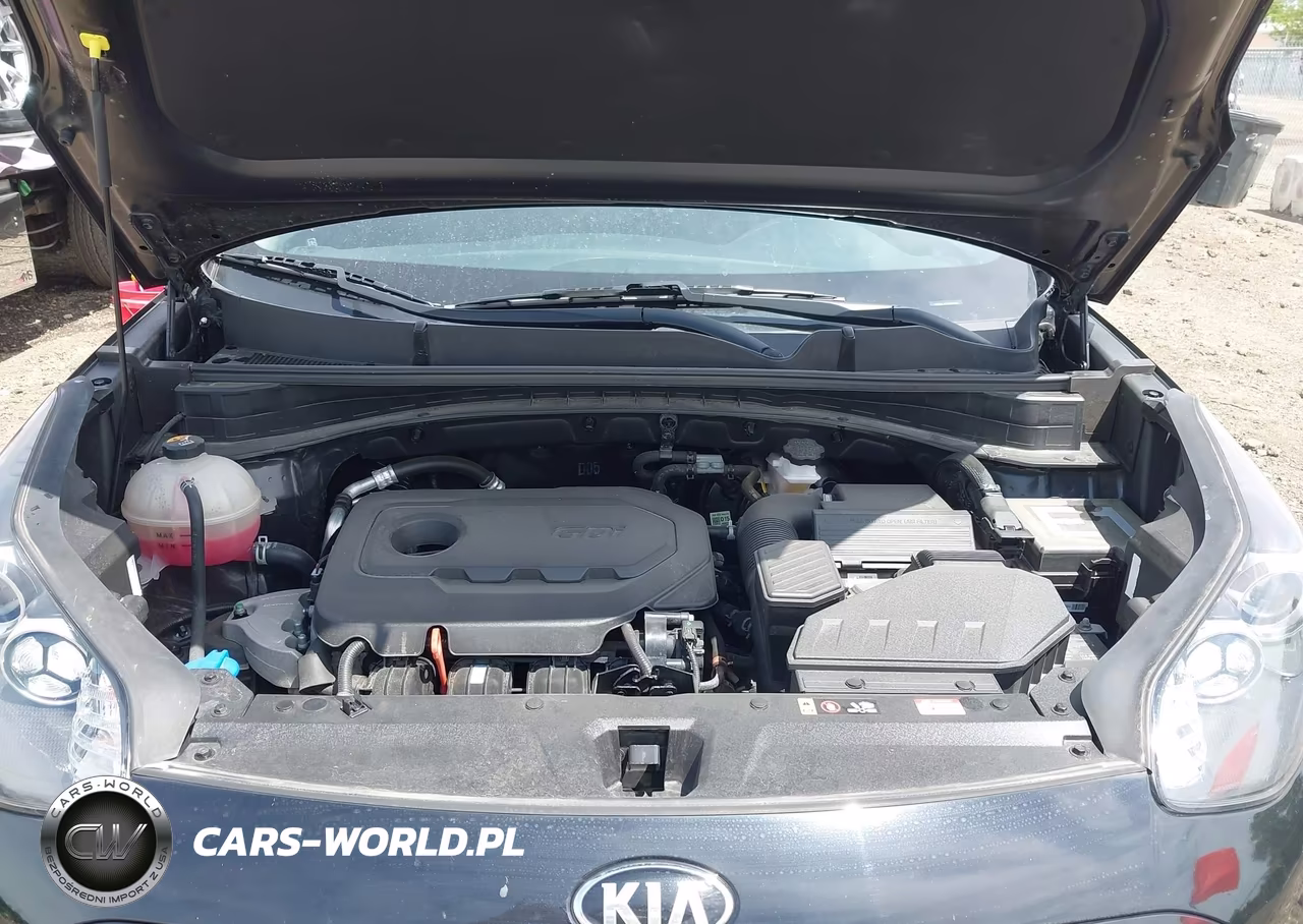 2022 Kia Sportage Lx VIN:KNDPMCAC8N7974482 - 10