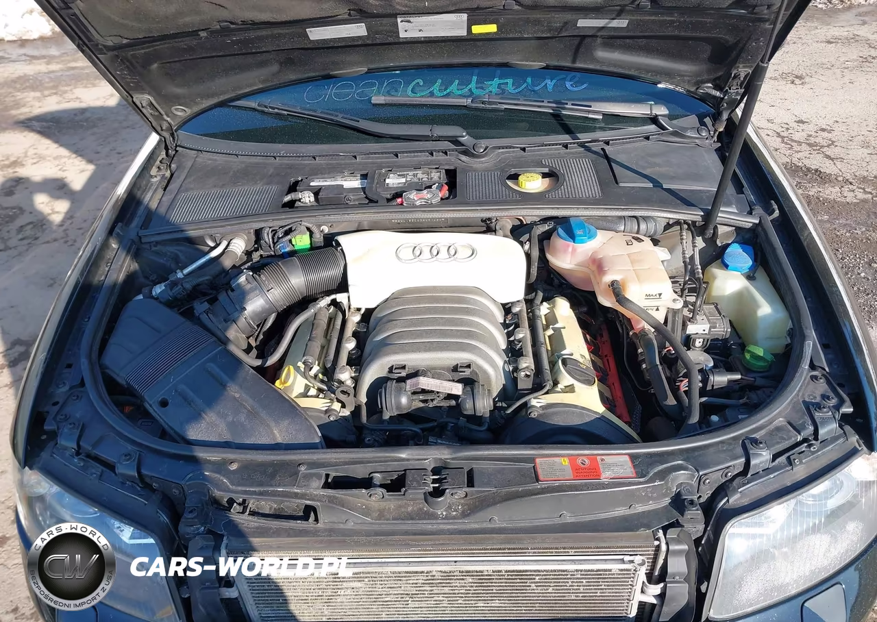 2005 Audi A4 3.0 VIN:WAULT68E05A061290 - 10