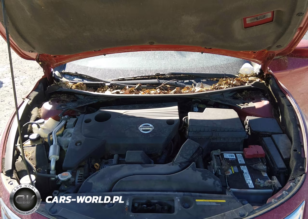 2014 Nissan Altima 2.5-2.5 S-2.5 Sl-2.5 Sv VIN:1N4AL3AP7EN349407 - 10