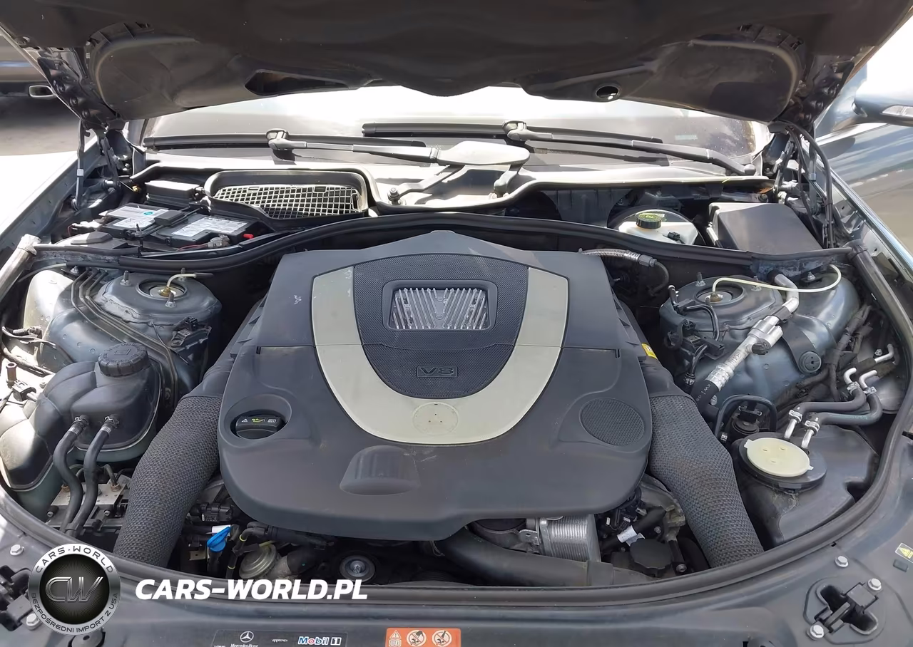 2009 Mercedes-Benz S 550 VIN:WDDNG71X49A245161 - 10