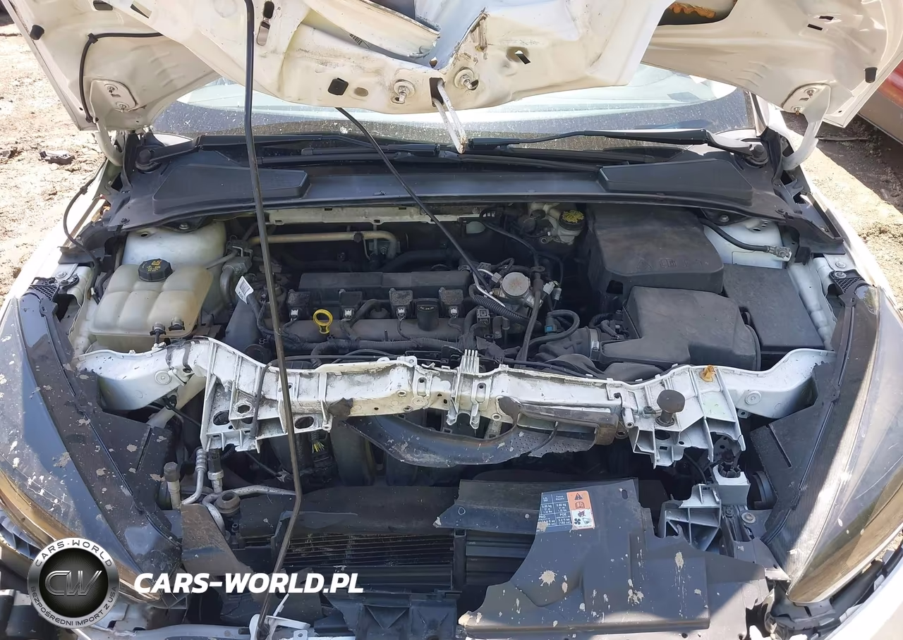 2016 Ford Focus Se VIN:1FADP3K24GL397028 - 10