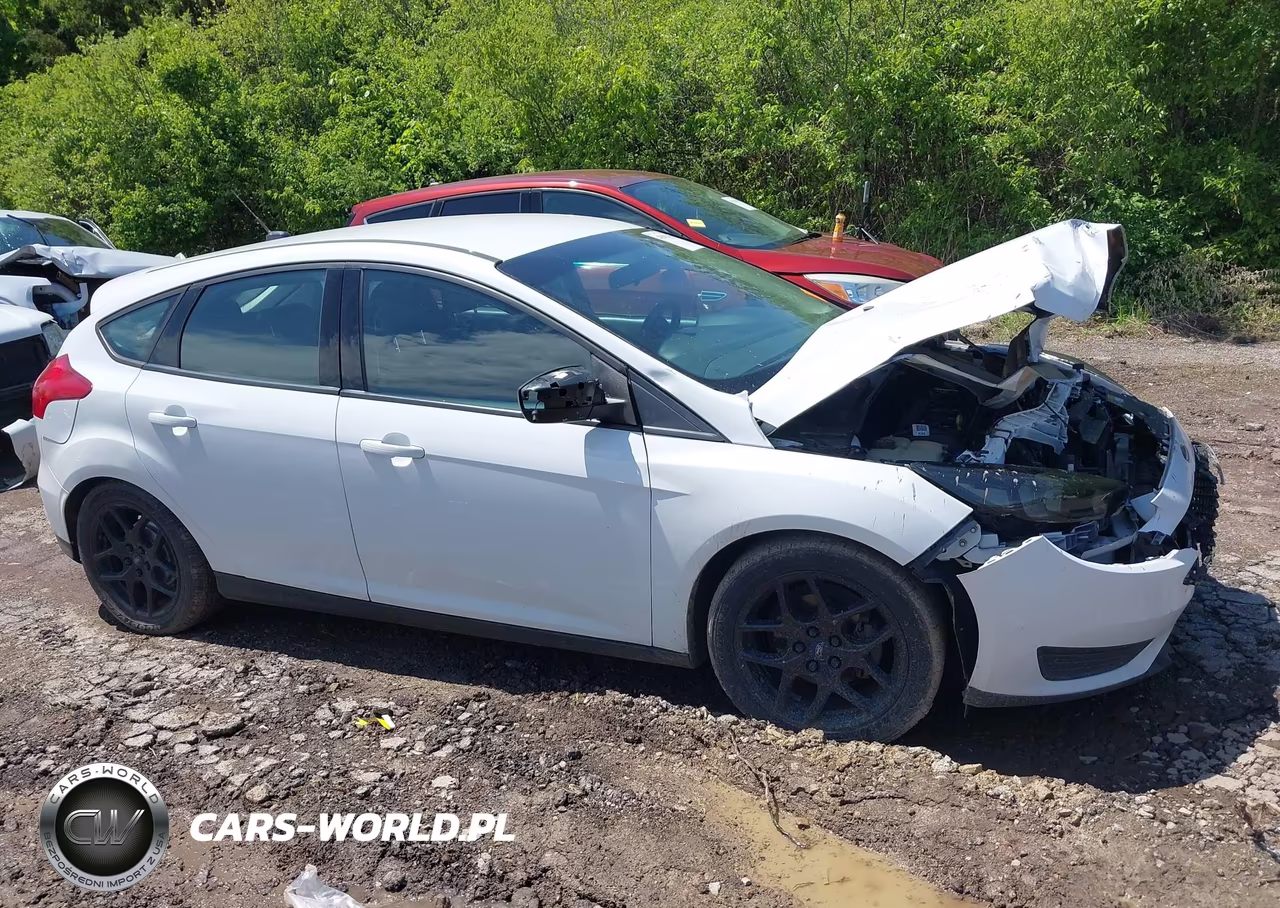 2016 Ford Focus Se VIN:1FADP3K24GL397028 - 13
