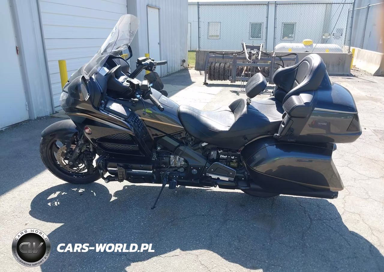 2016 Honda Gl1800 VIN:JH2SC68G3GK401648 - 13