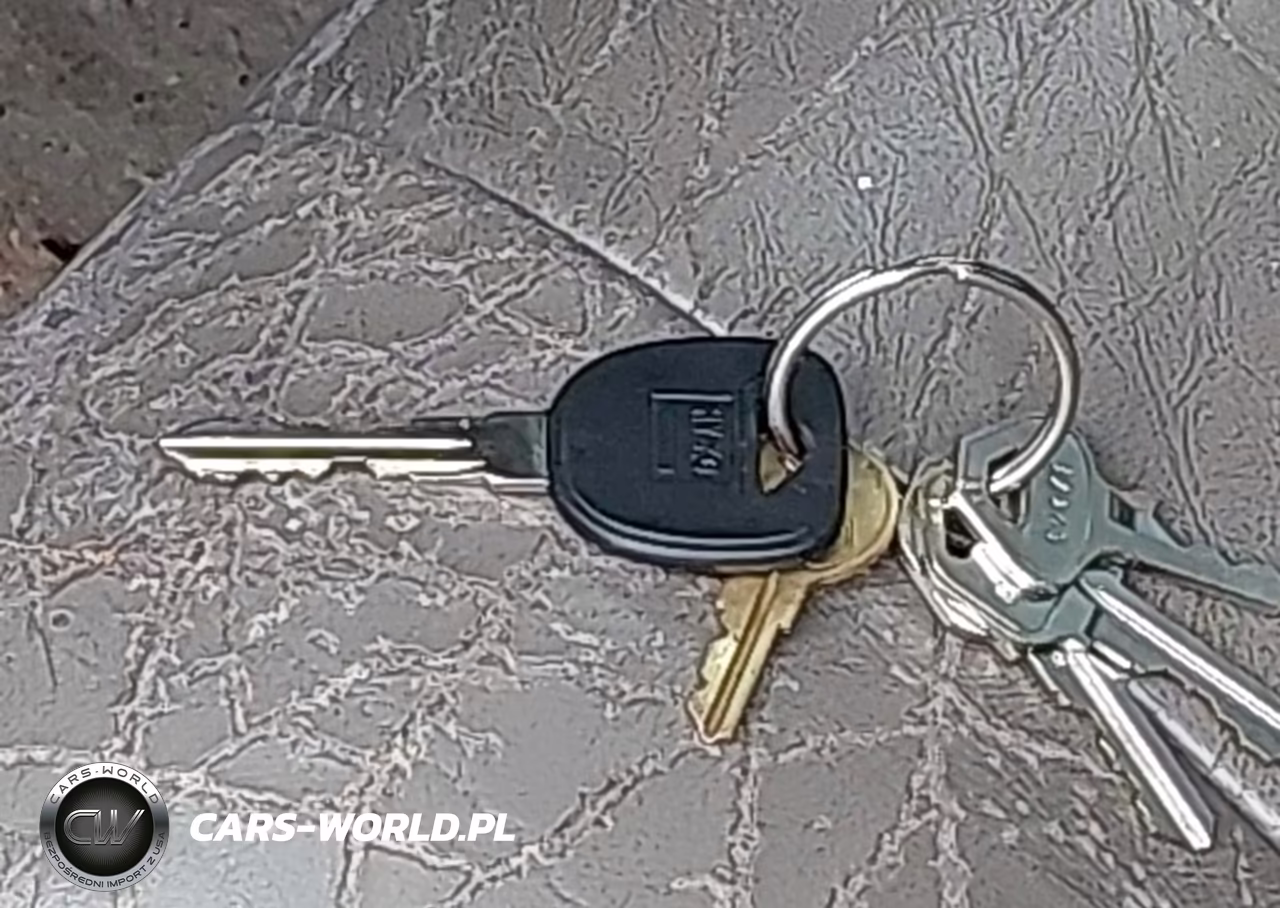 2004 Chevrolet Impala Ls VIN:2G1WH55K549265088 - 11