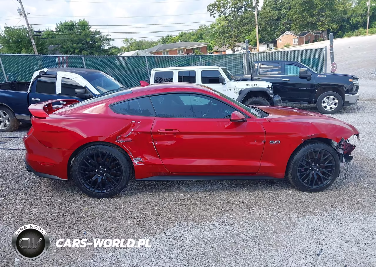 2020 Ford Mustang Gt Fastback VIN:1FA6P8CF6L5174897 - 12